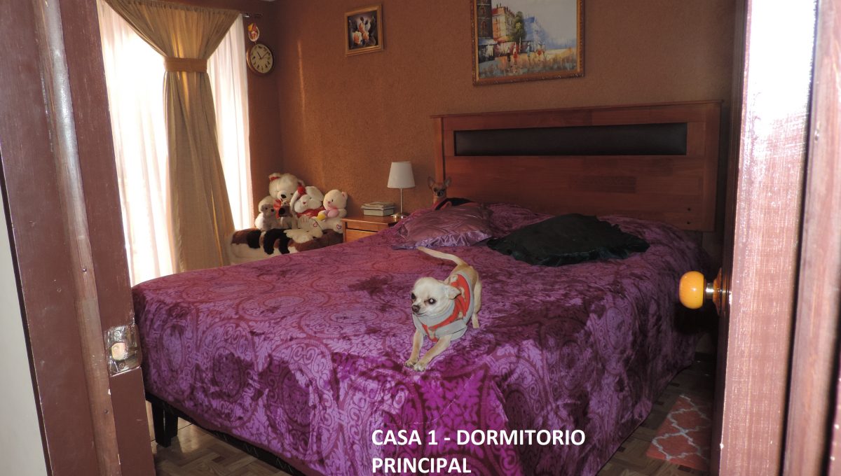 Foto 07